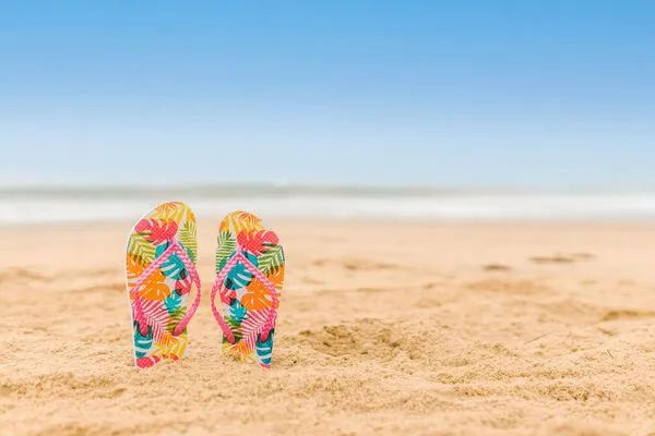 La mer sur fond de ciel bleu et une paire de tong colorées plantée dans le sable