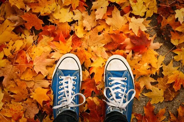 Deux pieds chaussés de baskets sur un lit de feuilles d'automne