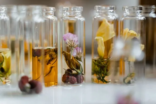 Une rangée de petits flacons en verre transparent est alignée sur une surface blanche et lumineuse. Chaque flacon contient des éléments botaniques délicats, tels que des fleurs séchées violettes et jaunes, des feuilles et des boutons de plantes, certains baignant dans un liquide doré ou ambré.